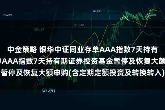 中金策略 银华中证同业存单AAA指数7天持有期: 银华中证同业存单AAA指数7天持有期证券投资基金暂停及恢复大额申购(含定期定额投资及转换转入)业务的公告