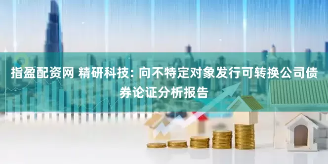 指盈配资网 精研科技: 向不特定对象发行可转换公司债券论证分析报告