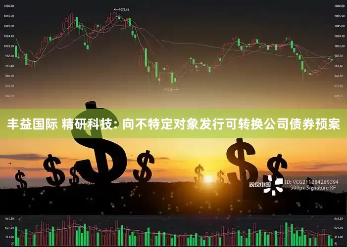 丰益国际 精研科技: 向不特定对象发行可转换公司债券预案