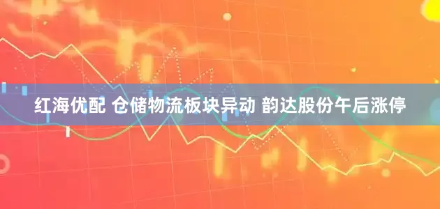 红海优配 仓储物流板块异动 韵达股份午后涨停